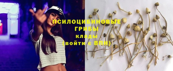эйфоретик Надым
