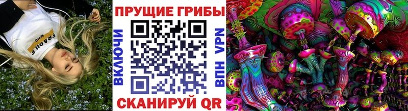 Псилоцибиновые грибы Psilocybe  OMG онион  Бийск 