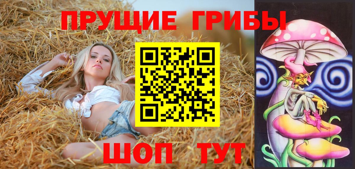 Бийск  Псилоцибиновые грибы Cubensis  Вход с VPN  Галлюциногенные грибы прущие грибы 