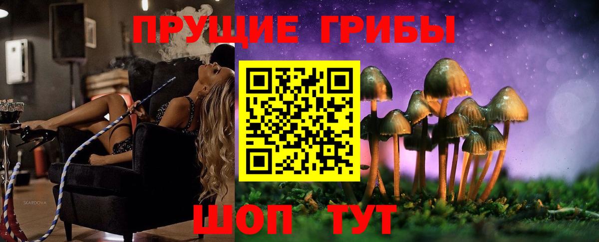 Псилоцибиновые грибы мицелий  Бийск 